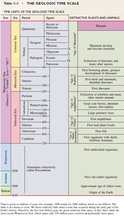 Science | year eight | middle junior | Maroochydore High School