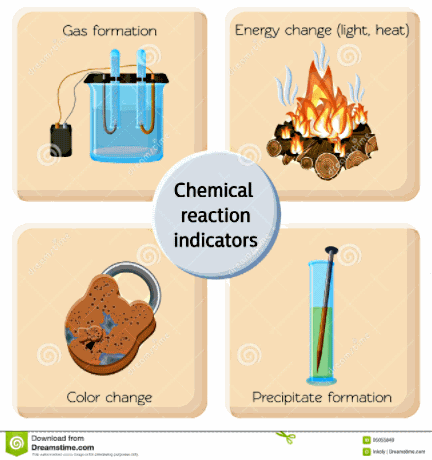 science year eight middle junior maroochydore high school