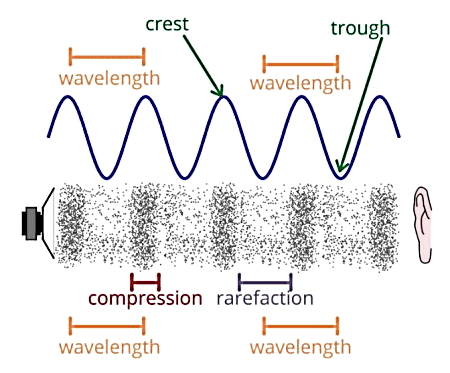 Science | year nine | middle junior | Maroochydore High School